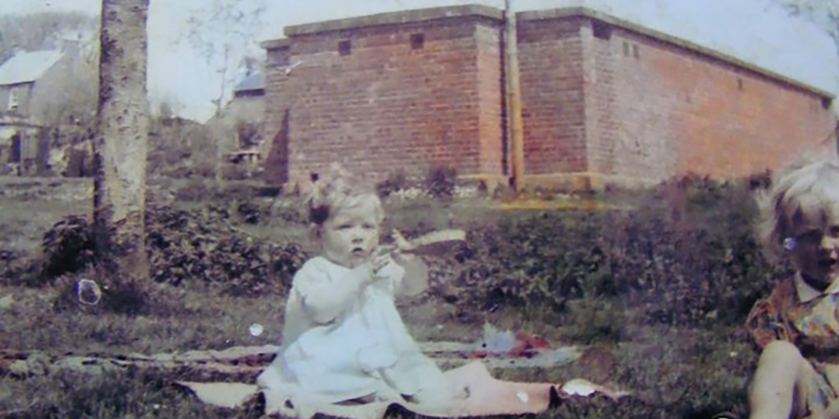 Honeyborough shelter