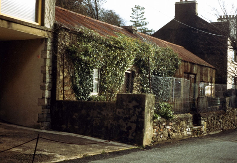 The Tin Shed