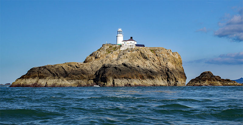 The South Bishop
