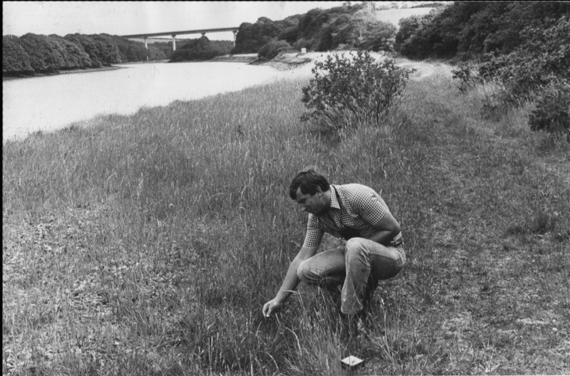 Allan Hansen Westfield Pill