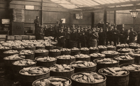 Neyland Fish Market, 1908