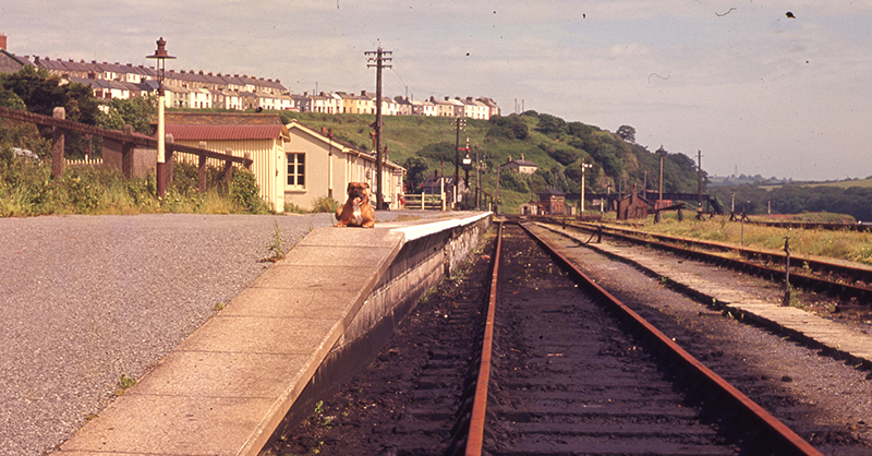 Neyland station 1964